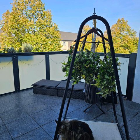 BUZZ growlog photo: Auf ins Vergnügen.. ✂️