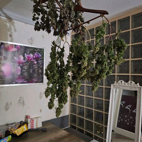 BUZZ growlog photo: 2/3