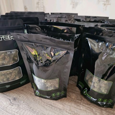BUZZ growlog timeline photo