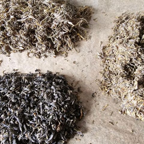 ICE growlog photo: Resteverwertung
Verschnitt in Ethanol ersoffen
