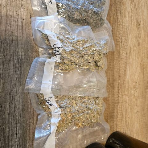 ICE growlog photo: Resteverwertung
Verschnitt in Ethanol ersoffen