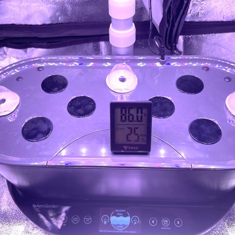 Berry Meow growlog photo: First signs of germination
