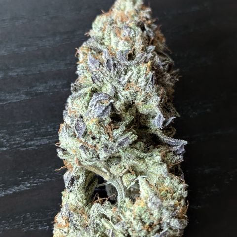 Hindu Kush growlog timeline photo