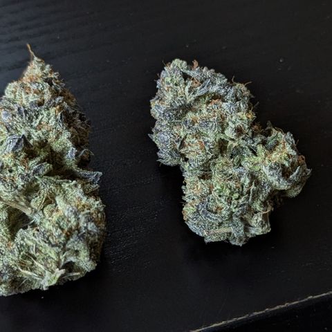 Hindu Kush growlog timeline photo