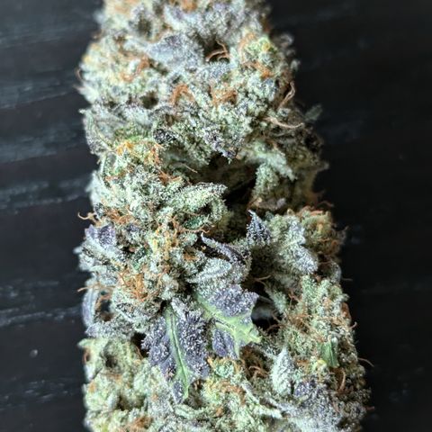 Hindu Kush growlog timeline photo