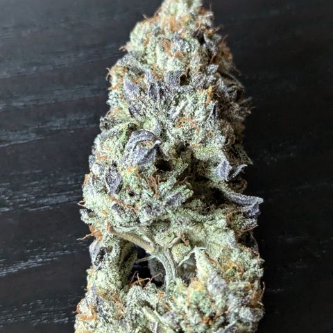 Hindu Kush growlog timeline photo
