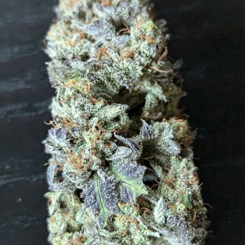 Hindu Kush growlog timeline photo