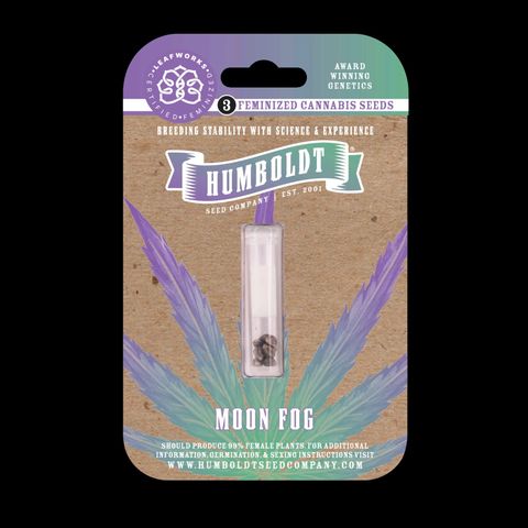 Moon Fog growlog timeline photo