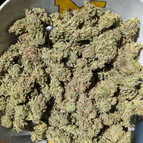 Jack Herer growlog photo: 4.3 oz