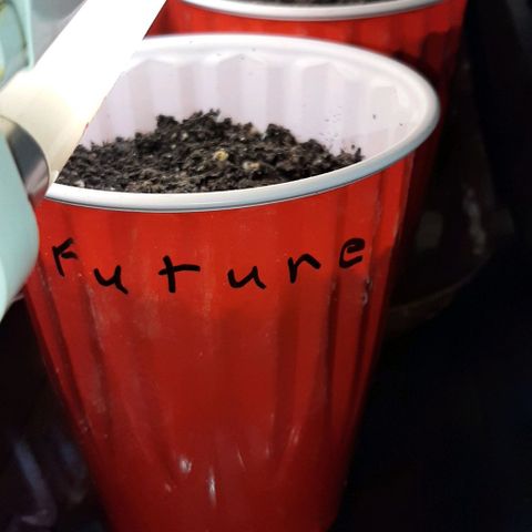 Future #1 400gal smartpot indoor greenhouse  growlog photo: Still waiting 