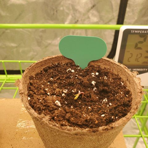 BC growlog timeline photo