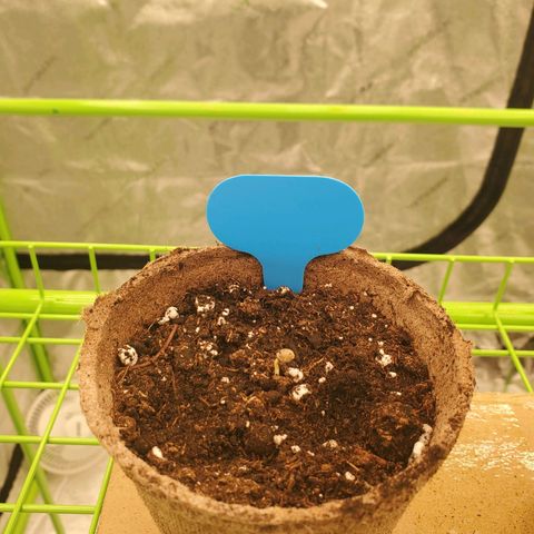 BC growlog timeline photo