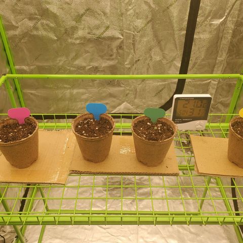 BC growlog timeline photo