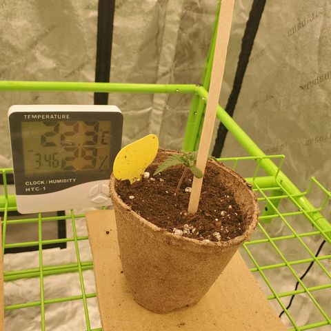 BC growlog timeline photo