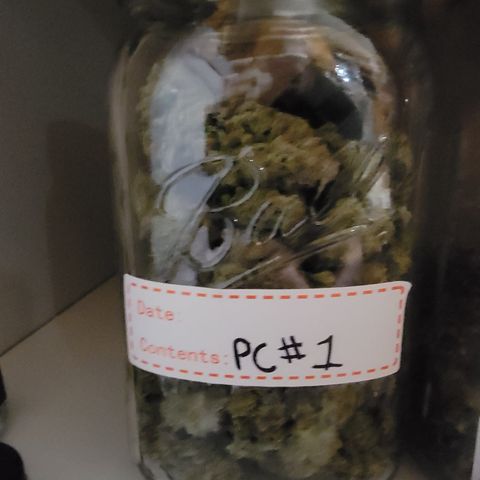 PC #1 growlog timeline photo