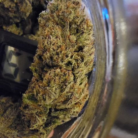 PC #1 growlog timeline photo