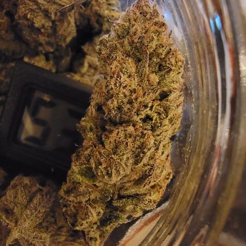 PC #1 growlog timeline photo