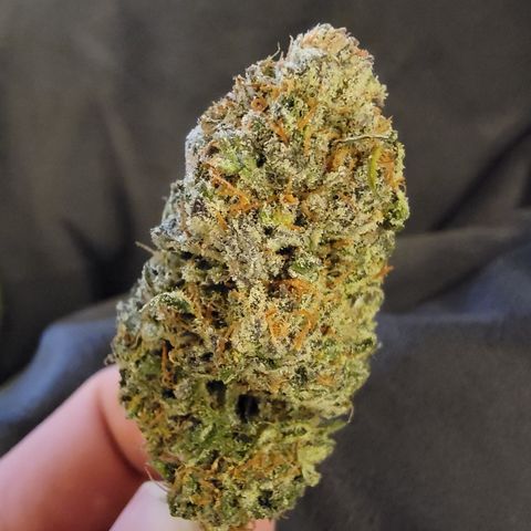 PC#2 growlog timeline photo