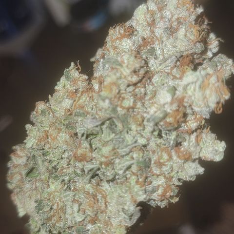 Bruce Banner growlog timeline photo