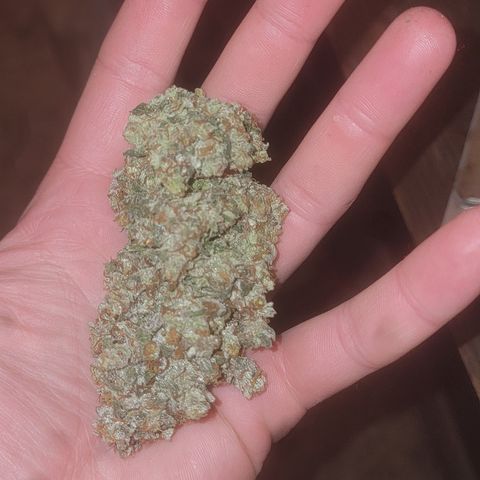 Bruce Banner growlog timeline photo