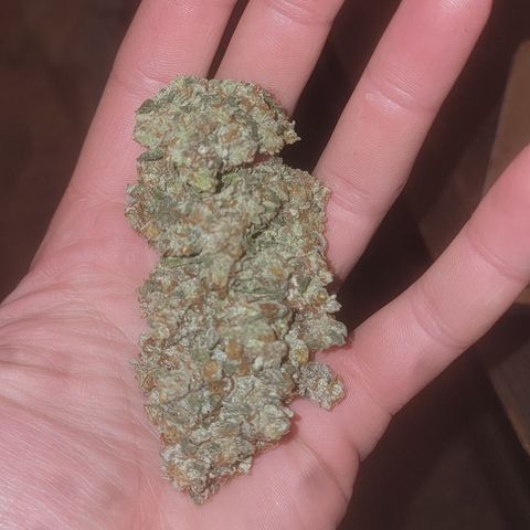 Bruce Banner growlog timeline photo