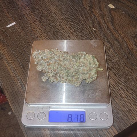 Bruce Banner growlog timeline photo