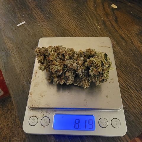 Bruce Banner growlog timeline photo