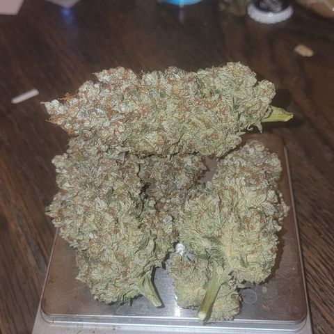 Bruce Banner growlog timeline photo