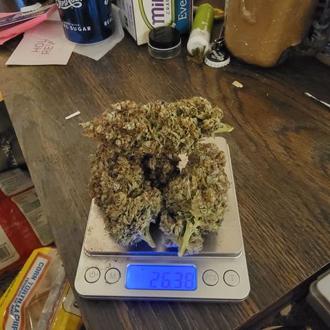 Bruce Banner growlog timeline photo