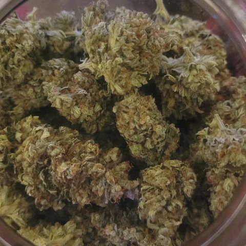 Bruce Banner growlog timeline photo