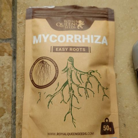 Tatanka Brothers growlog timeline photo