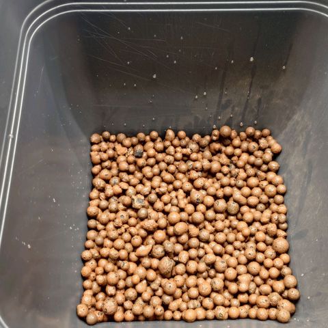 Tatanka Brothers growlog timeline photo