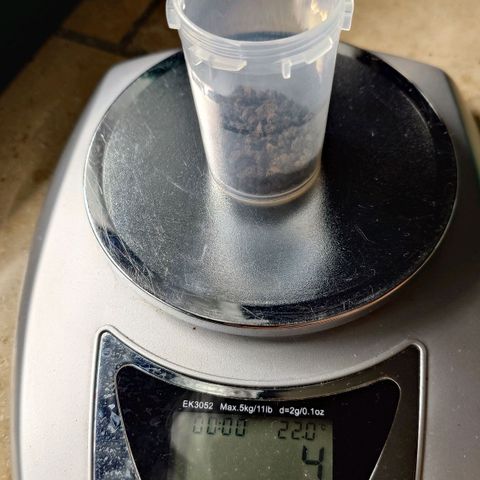 Tatanka Brothers growlog timeline photo