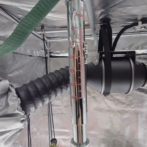 Gorilla Glue Auto growlog timeline photo