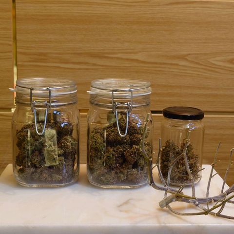 Gorilla Glue Auto growlog timeline photo