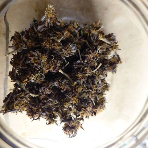 Tatanka Brothers growlog timeline photo
