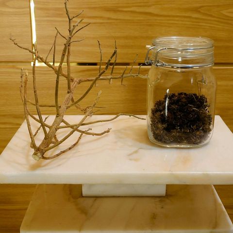 Tatanka Brothers growlog timeline photo