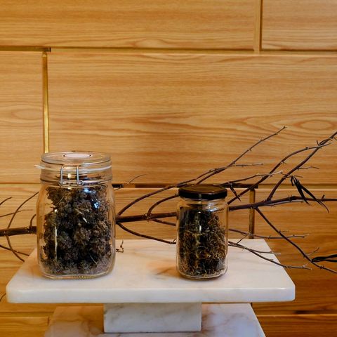 Northern Lights growlog timeline photo