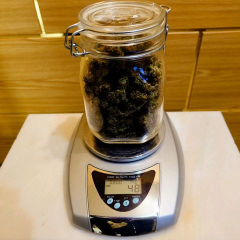 Tatanka Brothers growlog timeline photo