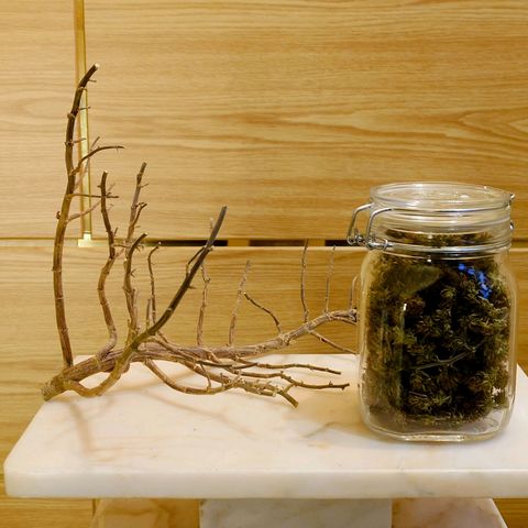 Tatanka Brothers growlog timeline photo