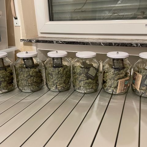 Moby Dick Auto x BioTabs growlog timeline photo
