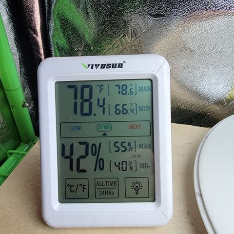 Blueberry Kush growlog photo: Temp