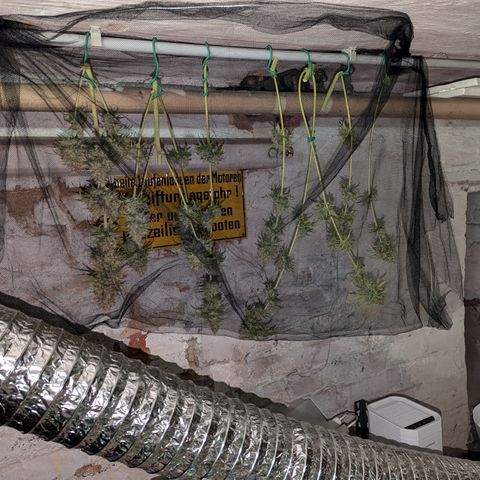 Pg2 growlog timeline photo