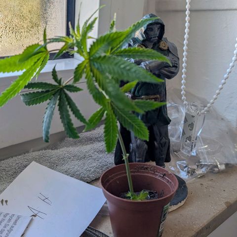 North Thunderfuck growlog photo