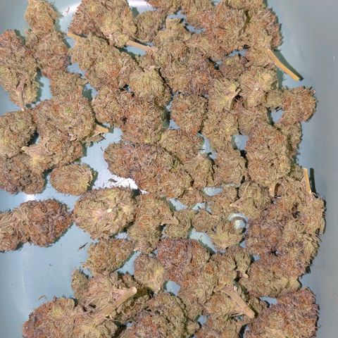 North Thunderfuck growlog timeline photo