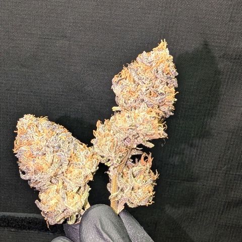 North Thunderfuck growlog timeline photo