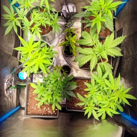 Moby-D growlog timeline photo
