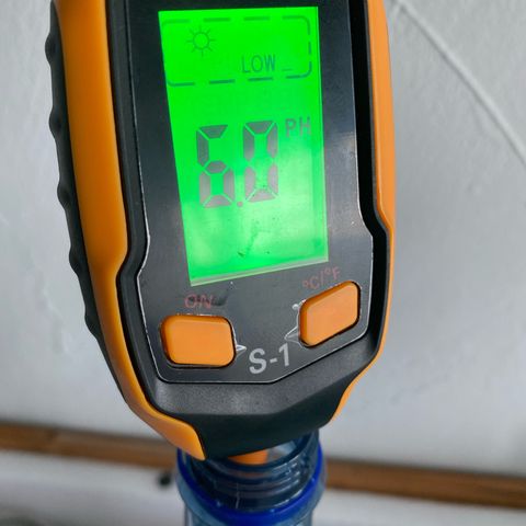 Mimosa x Orange Punch Auto growlog timeline photo