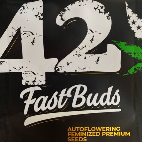 Blackberry Auto ( FastBuds ) growlog photo: Blackberry Auto 42 FastBuds 