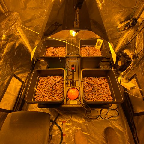 K Train #1 growlog photo: The beat laboratory 
